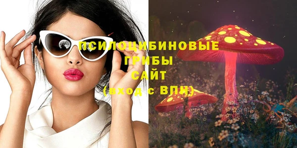 СК Аркадак